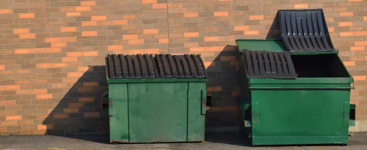 Dumpsters in the back of someones property