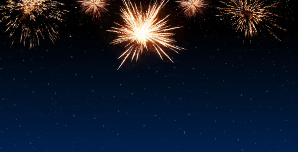 Bright fireworks bursting against a dark night sky.