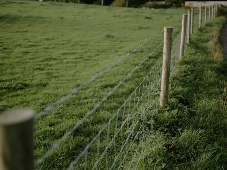 5 Ways Temporary Fencing Improves Security at Outdoor Events